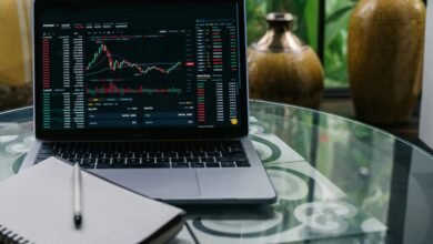 beginner stock investment guide