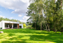 How Does Kikuyu Grass Handle High Foot Traffic in Perth Homes?