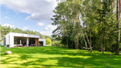 How Does Kikuyu Grass Handle High Foot Traffic in Perth Homes?