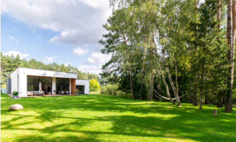 How Does Kikuyu Grass Handle High Foot Traffic in Perth Homes?