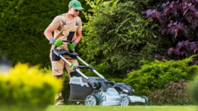 Commercial vs. Residential Lawn Mowing: What Sets Them Apart
