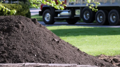 The Role of Topsoil in Improving Soil Fertility and Supporting Plant Growth