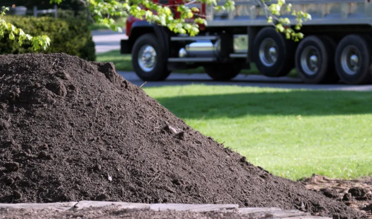 The Role of Topsoil in Improving Soil Fertility and Supporting Plant Growth