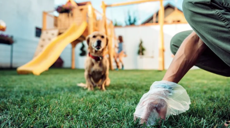 The Top Advantages of Hiring a Pet Waste Removal Service for Your Business