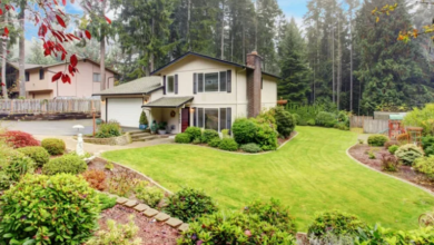 Water-Efficient Landscaping: Smart Solutions for Your Yard