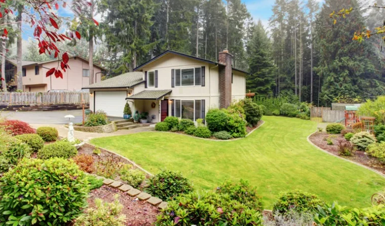 Water-Efficient Landscaping: Smart Solutions for Your Yard