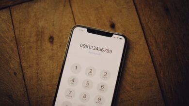 phone number details summarized concisely