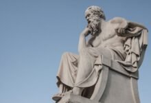 why zientyca merits understanding