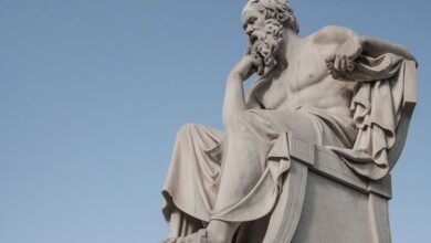 why zientyca merits understanding