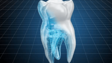 How Your Daily Water Intake Timing Influences Cavity Formation and Enamel Protection